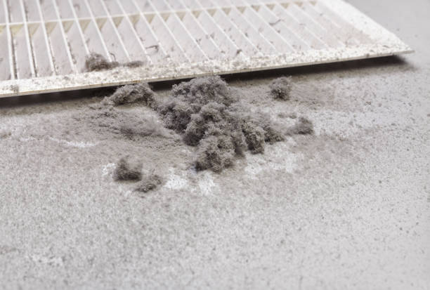 Best Affordable Air Duct Cleaning  in Twin Grove, IL