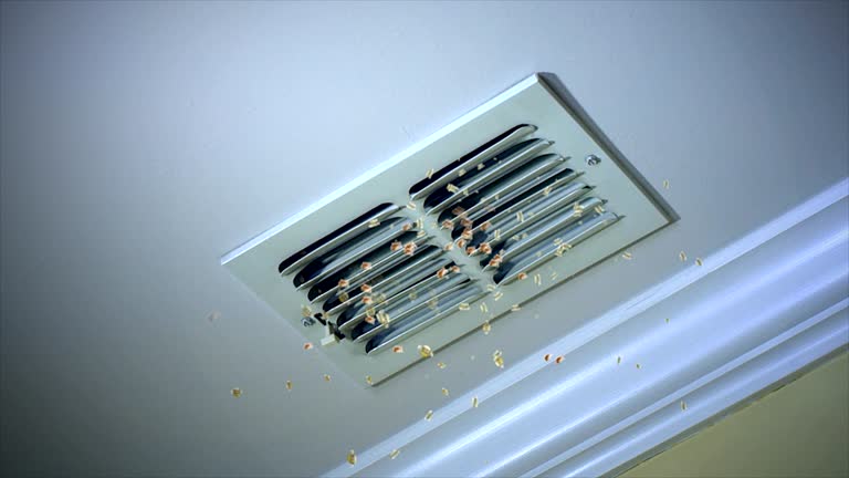 Best Affordable HVAC Duct Cleaning  in Twin Grove, IL