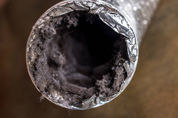 Best Residential Air Duct Cleaning  in Twin Grove, IL