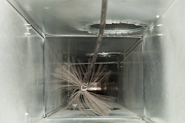 Best Local Air Duct Cleaning Services  in Twin Grove, IL