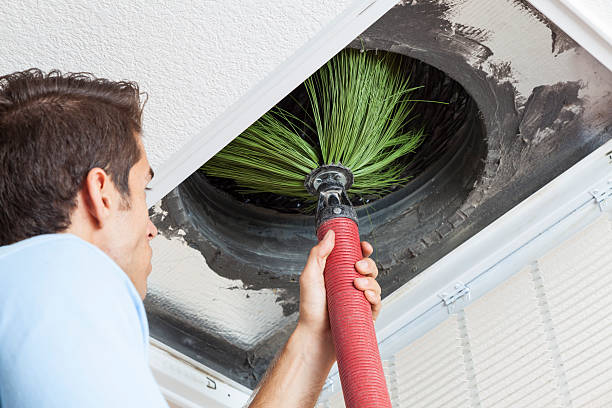 Best HVAC Duct Inspection Services  in Twin Grove, IL