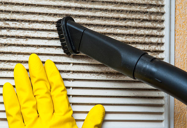 Best Air Duct Sanitizing Services  in Twin Grove, IL